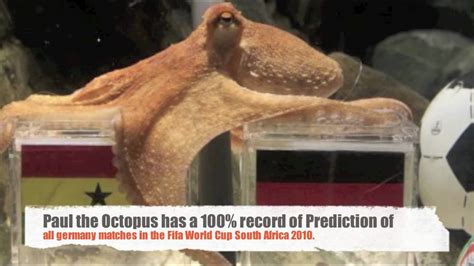 octopus jackpot prediction|Paul the Octopus .